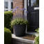 Ashley Round Egg Planter, Concrete Effect, Indoor and Outdoor Round Plant Pot with Drainage Hole-599791369-599791372