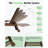 Adjustable Patio Chaise Lounges, Hdpe Modern Poolside Set Of 2 Brown