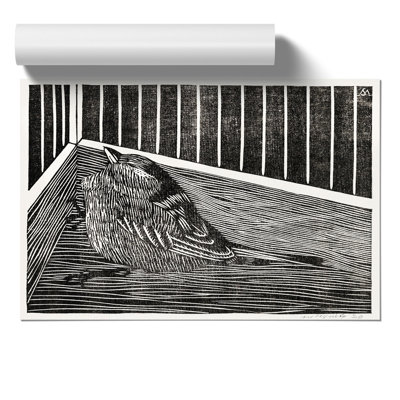 Bird In The Cage by Samuel De Mesquita - No Frame Print