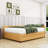 Korden Full Size Upholstered Daybed with Twin Size Trundle-554981323