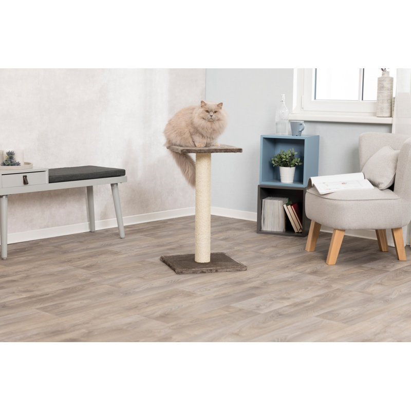 Grattoir pour chat avec plateforme en peluche et sisal 27 po Trixie Espejo, Beige / Gris