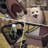 Foldable Pet Stroller, 3 Wheels Folding Carrier Jogger Stroller for Dogs Cats with Canopy and Basket-101628880