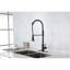 Red Cloud Pull Down Kitchen Faucet