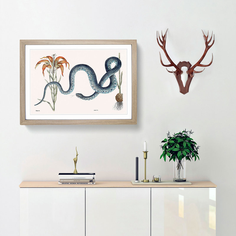 Blue Wampum Snake by Mark Catesby - Picture Frame Painting Print, Oak Framed, 27cm H x 36cm W x 2cm D
