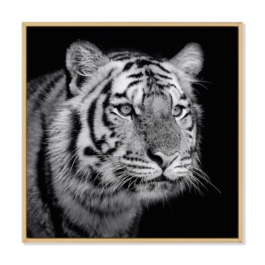 " Monochrome Portrait Of A White Tiger V " Painting Print East Urban Home 