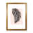 Oak Frame is unavailable