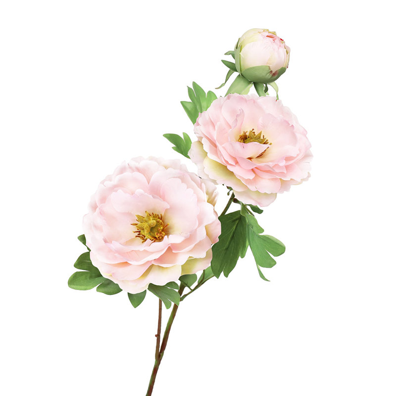 Peony Arrangement, Blush Pink