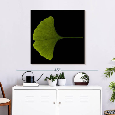 Ginkgo Leaf Close Up