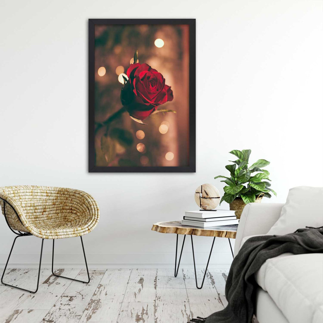 Gerahmtes Poster Red Rose Flower