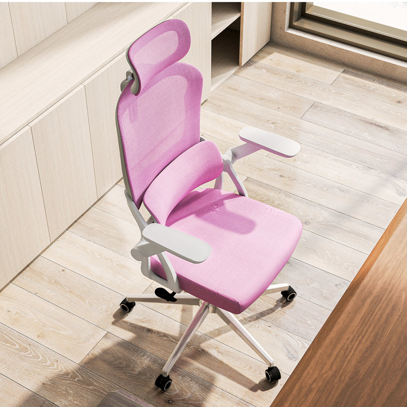 Omir Ergonomic Office Chair With Lumbar Support & Flip Up Arms Home Office Desk Chairs Rockable Swivel High Back Computer Chair  Mesh Study Chair