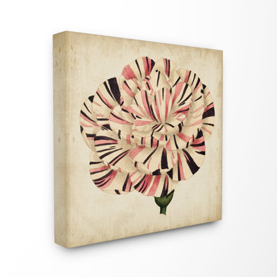 Reproduction d’art graphique de tulipes rayées en fleurs vieillies par vision studio-impression