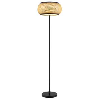 146cm Matte LED Novelty Floor Lamp