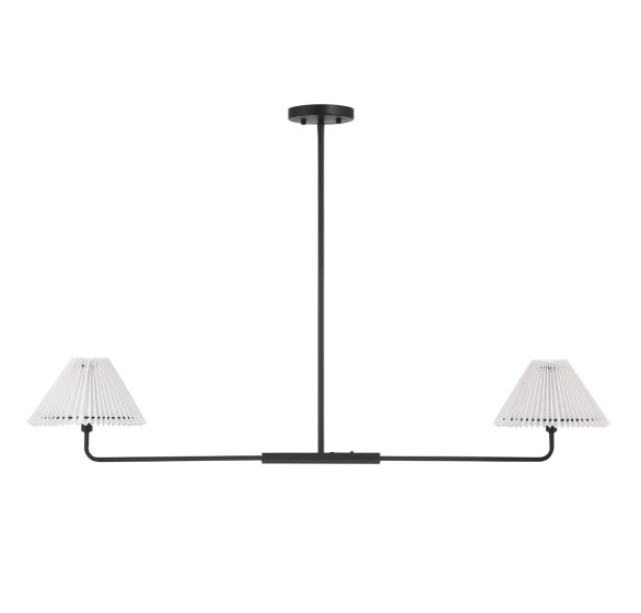 Lustre linéaire moderne à 2 lumières Pearson, Noir mat