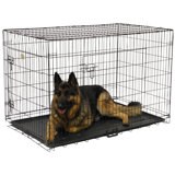 Metal Collapsible Pet Crate with 2 Doors