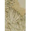 Art Deco Hand Knotted Wool Floral Area Rug-244013140