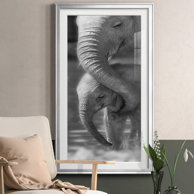 Morning Moment - Single Picture Frame Photograph