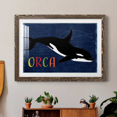 " Orca "