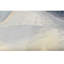 Area Rug-1263734185