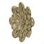 Plaque murale succulente D10x1,6 po