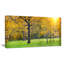 " Sunny Park With Oak Panorama "-26691274-65624090