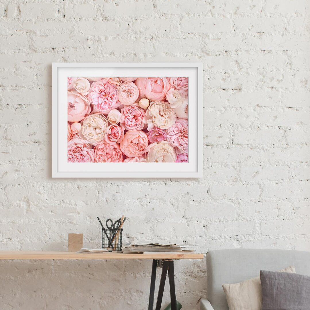 Gerahmter Grafikdruck Roses Coral Shabby