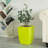 Jaymalin Glass Cachepot-882659108