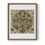 William Morris, reproduction encadrée CLxxxv-373169585-373169584