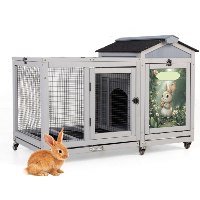 Lapin spacieux avec deux zones fonctionnelles, - panneau solaire, et roulement doux pour les canards, plancher de filet de protection en cage d'écureuil, mobilité facile, conception grise
