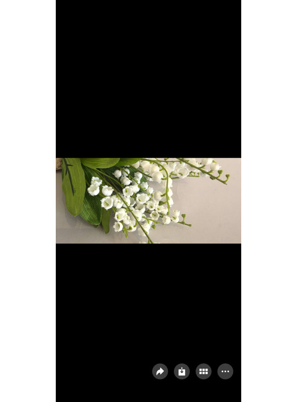 Lily of the Valley Bunch