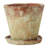 Hillengas Round Cement Planter with Saucer and Distressed Finish-1379896040