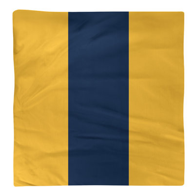 Serviette pour dîner de hockey Nashville