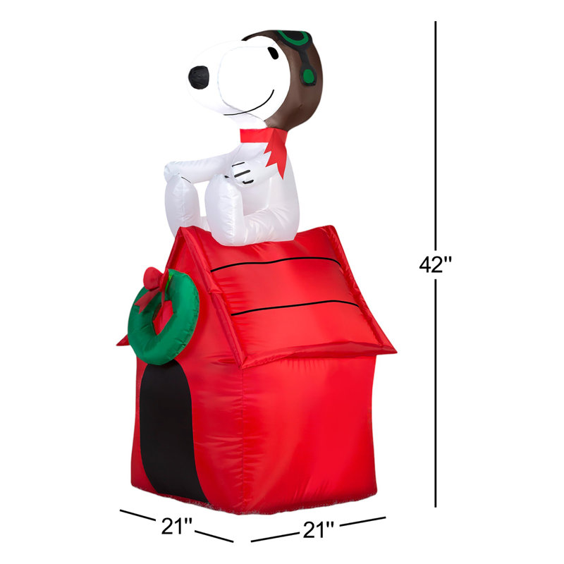 Petit arachide gonflable snoopy on house