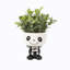 Eucalyptus artificiel en pot