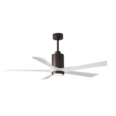 Patricia 60'' Ceiling Fan with LED Lights