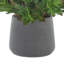 Agave disposée en pot de Fiberstone
