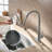 Casa Eclat Pull Down Kitchen Faucet-101810715
