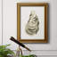«Neutral Oyster Study I», reproduction d'art sur toile-201688611