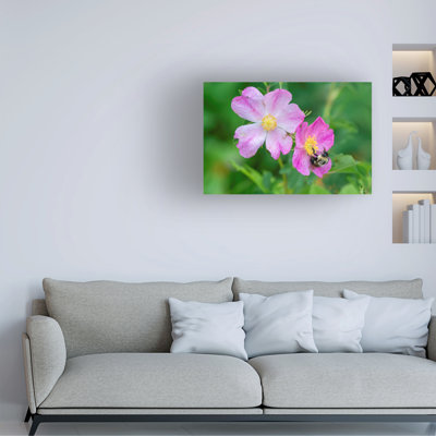 Art sur toile, «River Gordon of the North 119» par Bolologic