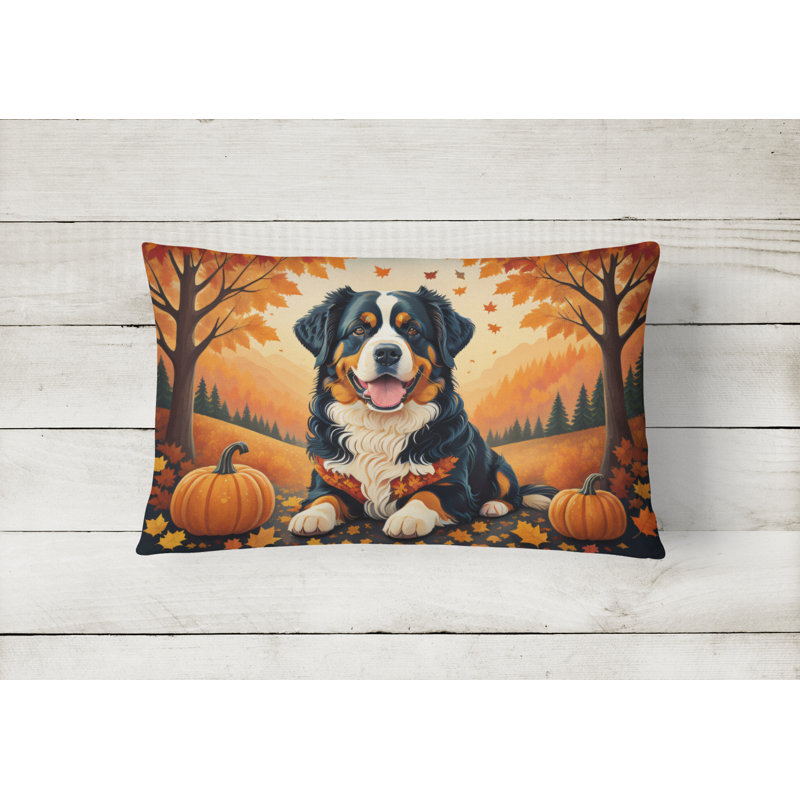 Other/No Pattern Outdoor Throw Pillow