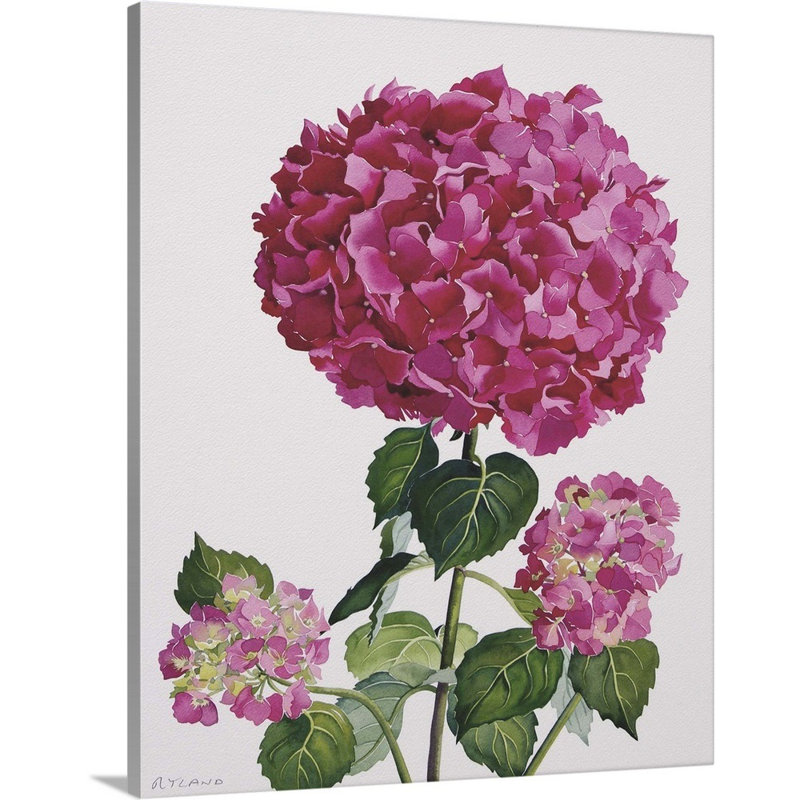 Hydrangea, art mural sur toile, Toile tendue, H 45 po x l 36 po x P 1,25 po