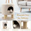 Arbre à chat 18,5 po H Dushon-947790223