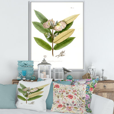 «Vintage Blossoming Flower II», peinture sur toile