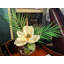 Tropical Magnolia with Palm Leaves