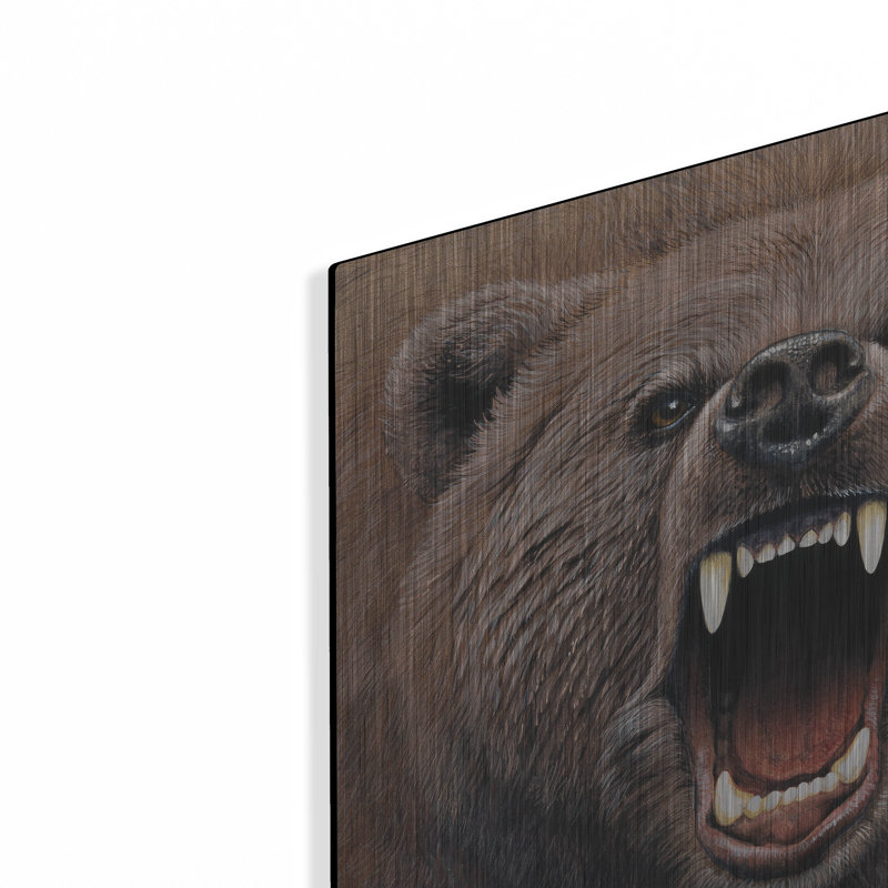 «Bear 2» par Harro Maass, H 12 po x l 12 po