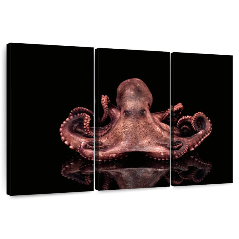 Brampt Plump Pink Octopus, 48" H x 74" W