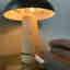 Customer photo 2 of 6