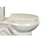 Siège de toilette rond de luxe-37607062