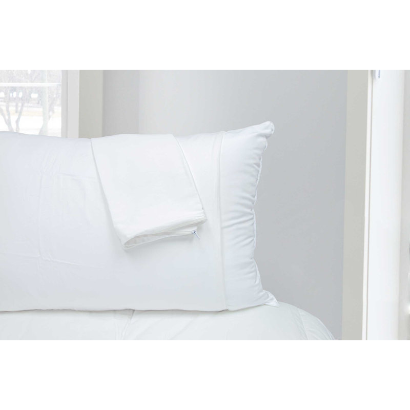 Protège-oreiller anti-allergène Manuel, Standard