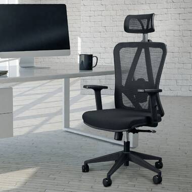 Flash Furniture Ergonomic Mesh Office Chair with Synchro-Tilt, Pivot  Adjustable Headrest, Lumbar Support, Coat Hanger & Adjustable  Arms-Gray/Black 