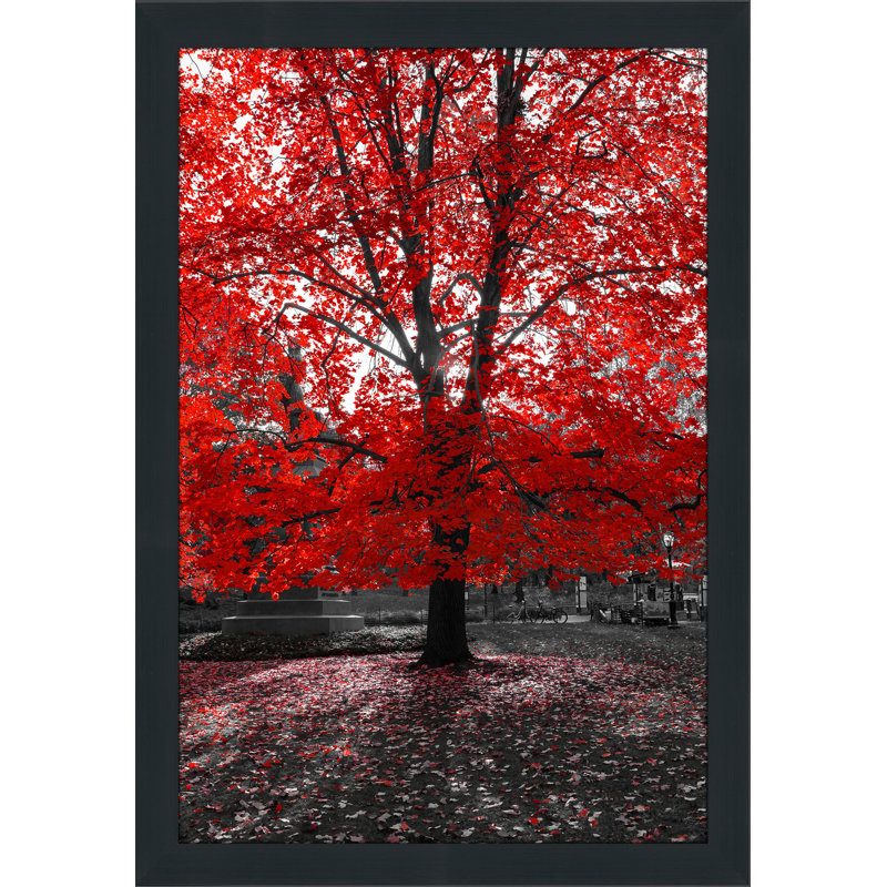 Single Picture Frame Photograph, 51.5" H x 35.5" W x 0.75" D